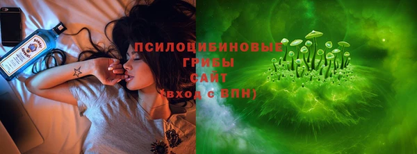 spice Пересвет