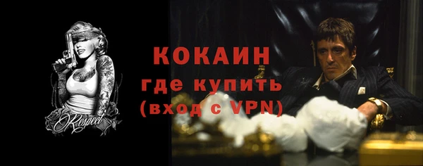 стаф Пестово