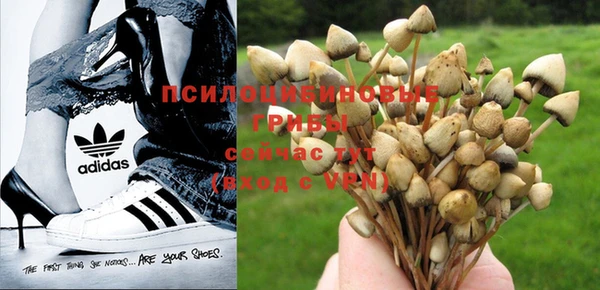 стаф Пестово