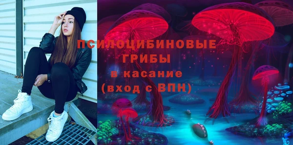 кокс Покачи