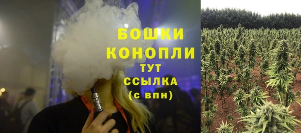 кокс Покачи
