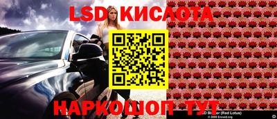 прущие грибы Волгодонск