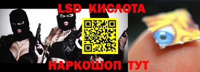 гидра Волгодонск