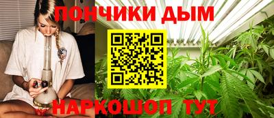 гидра Волгодонск