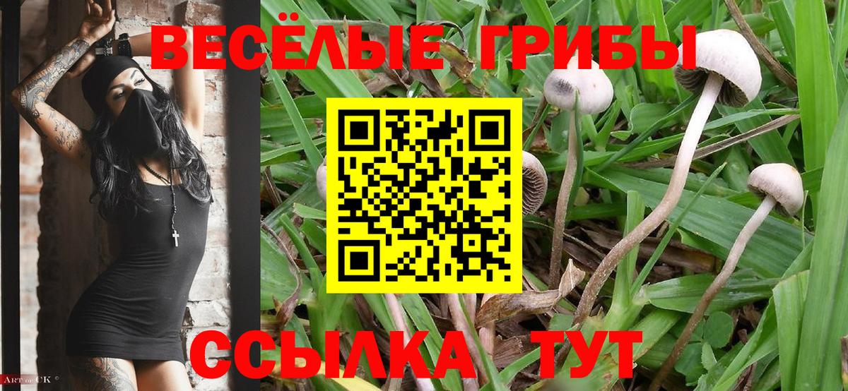 Волжск  Галлюциногенные грибы Magic Shrooms  Псилоцибиновые грибы Psilocybe  Вход с VPN 
