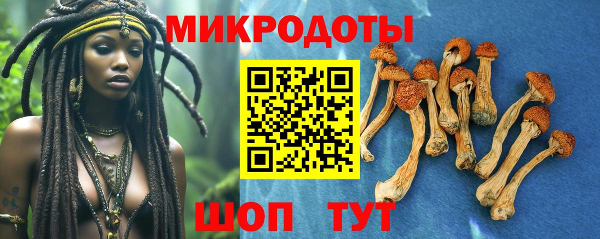 Галлюциногенные грибы прущие грибы Волжск