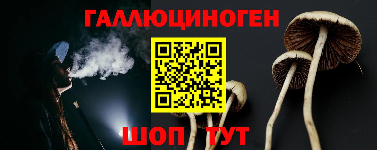 Галлюциногенные грибы Cubensis  Псилоцибиновые грибы мухоморы  где купить наркоту  Волжск 